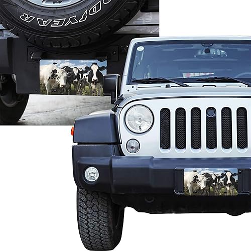 Miniatura 7 de Linda vaca en el prado placa de aluminio de 6 x 12 pulgadas, cubierta de metal para placa de matrícula delantera de automóvil, accesorio de