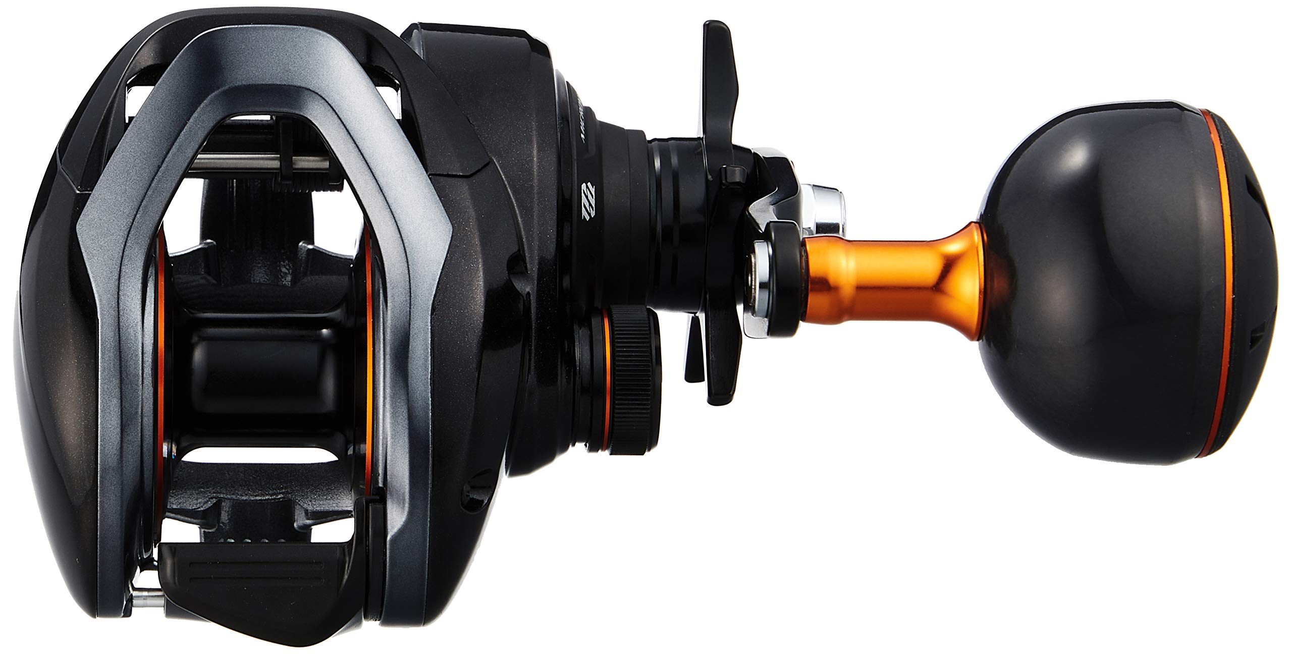 SHIMANO 20 BAYGAME 300PG Right : Amazon.sg: Sporting Goods