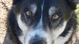 Review Image by Stacey Longjohn