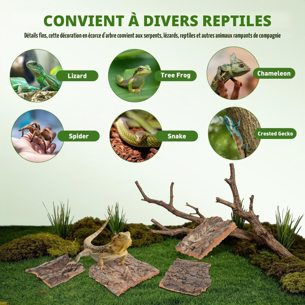 DOITOOL Lot de 4 Toiles de Fond en écorce de liège Naturel pour Reptiles, Escalade, Terrarium, Perche en Liège Naturel Accessoires décoratifs pour Oiseaux Tortue Lézard (Couleur Bois)