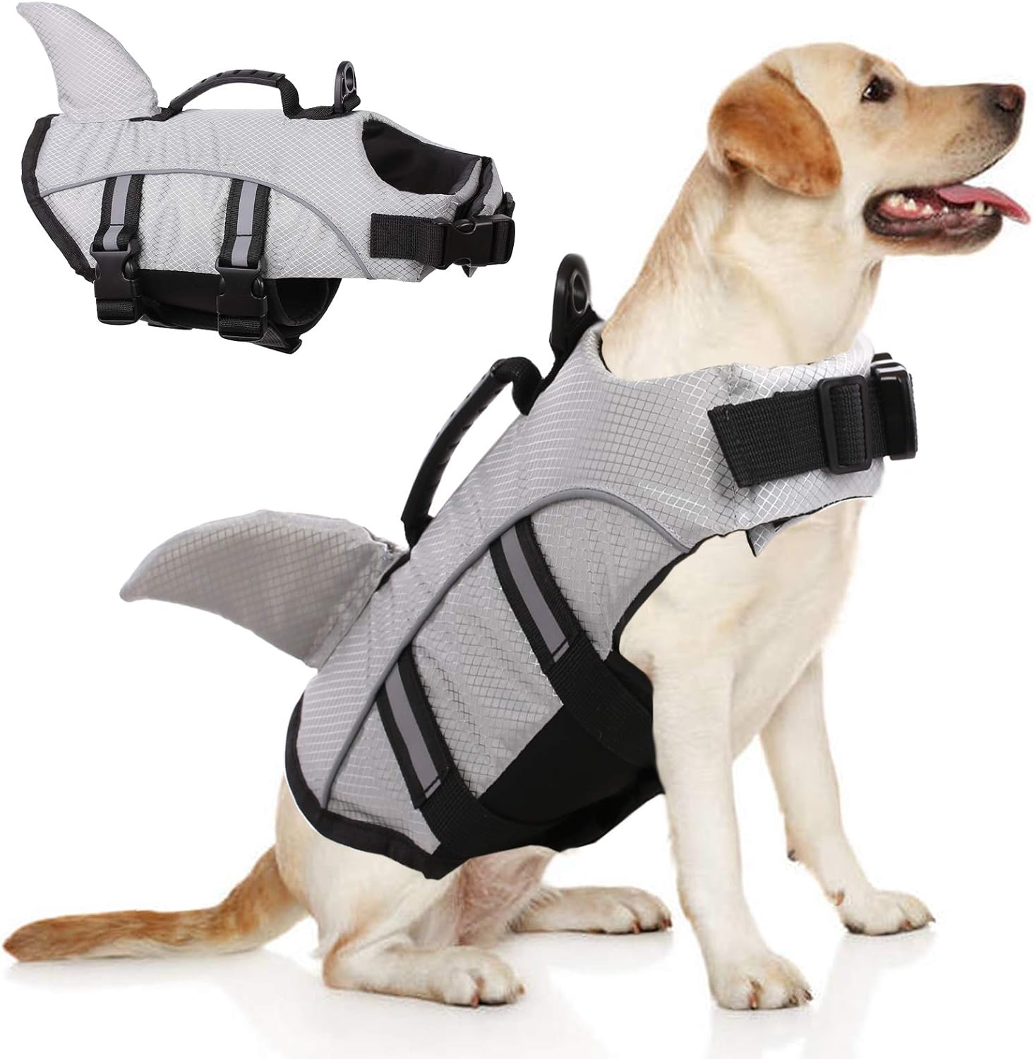 labrador life jacket