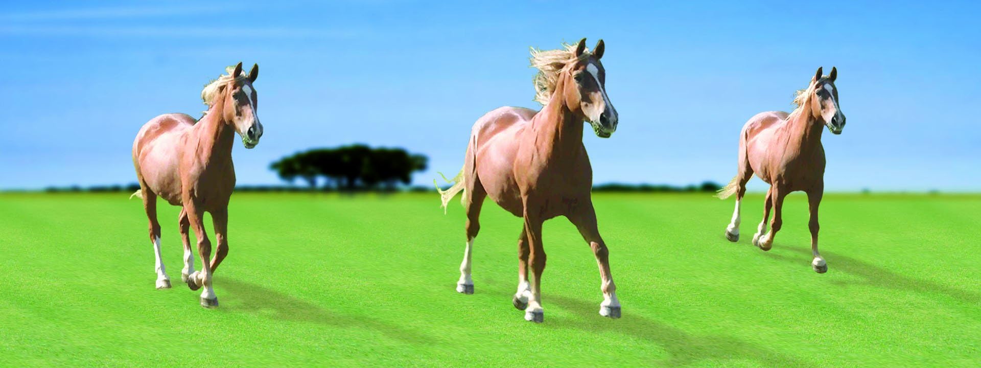 Gift Trenz 3-D Motion Horses Bookmark with 6" Ruler