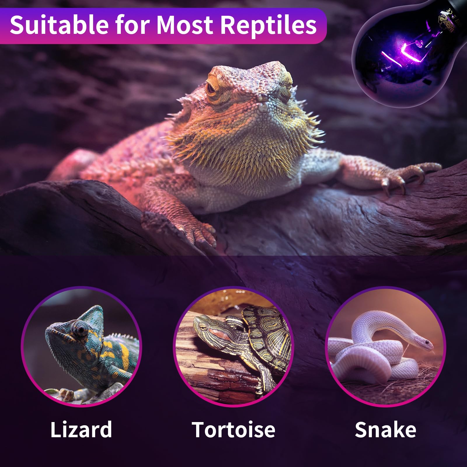 Picture of Snapklik.com : Reptile Heat Lamp 50W 2 Pack, Reptile Night Heat Bulb ...