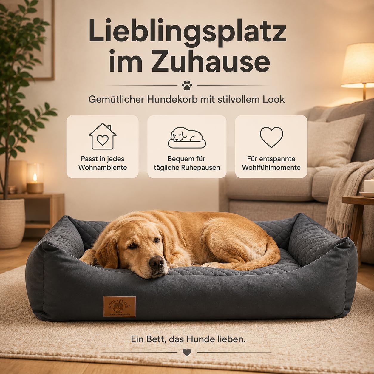 Odolplusz XXL Hundebett 100x70cm - Abnehmbarer, wasserdichter Bezug - Bequemer Hundekorb für große & mittelgroße Hunde - Waschbar & Robust