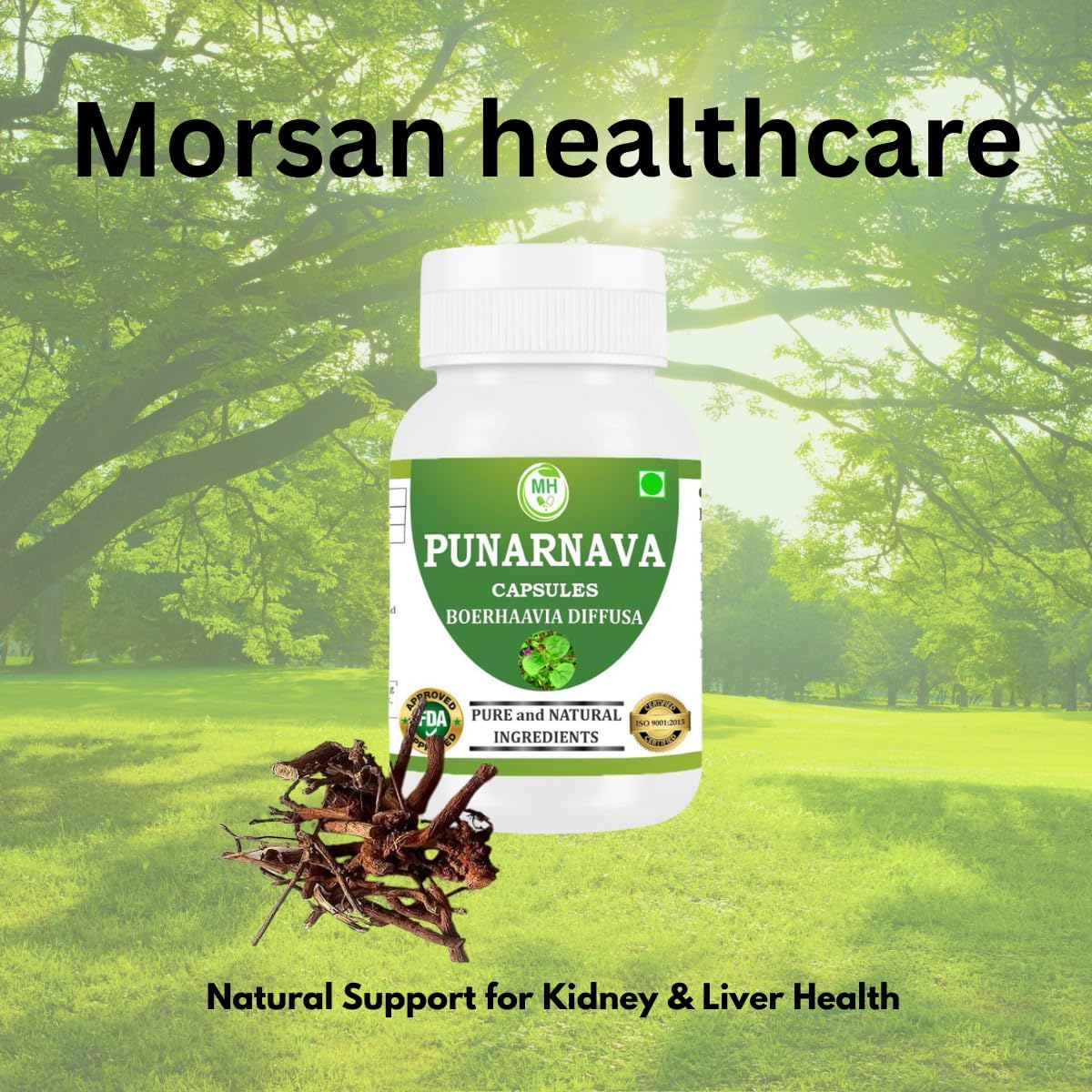 Punarnava Capsules (Boerhaavia Diffusa) 500mg – 60 Veg Capsules | Herbal Wellness Supplement for Natural Kidney & Liver Support | Plant-Based Detox & Cleansing Formula | Pack of 1 - Image 4