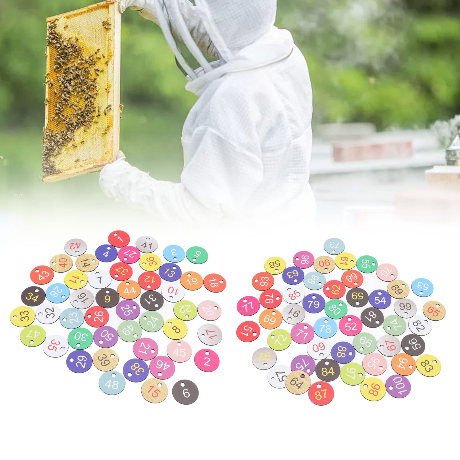 50Pcs Numéro de Marqueur de Ruche Marqueur Numérique Étiquettes de Numéro en Plastique Rondes Étiquettes de Numéro de Couleur Vive Compactes pour L'apiculture Élevage(1-50