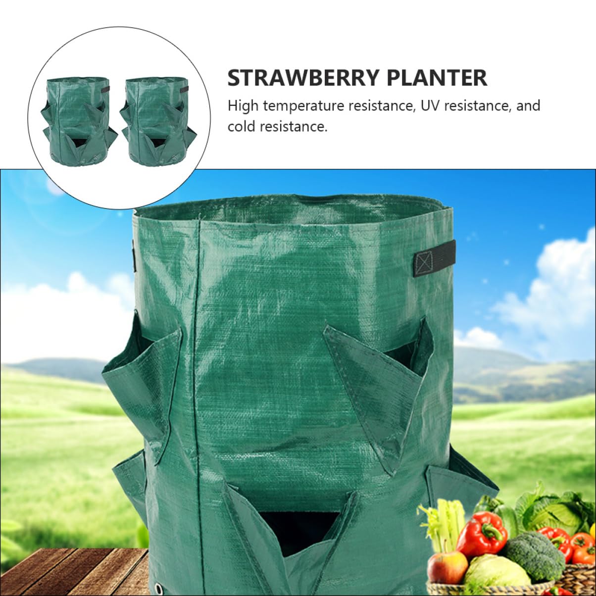TOYANDONA 2 Series Bolsa Plantas PE Jardín Y Resistente Y Reutilizable Fresas Y Verduras 2 Piezas*2