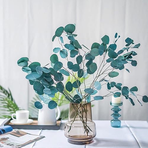 Miniatura 7 de Tallos de eucalipto secos preservados, ramas verdes reales azules, 4-10 hojas de dólar plateadas para relleno de jarrón, planta de guirnalda de