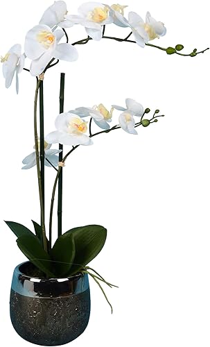 Vickerman Everyday - Falaenopsis artificial blanca de 23 pulgadas para interiores, toque real, maceta de metal, arreglo de plástico y metal duradero