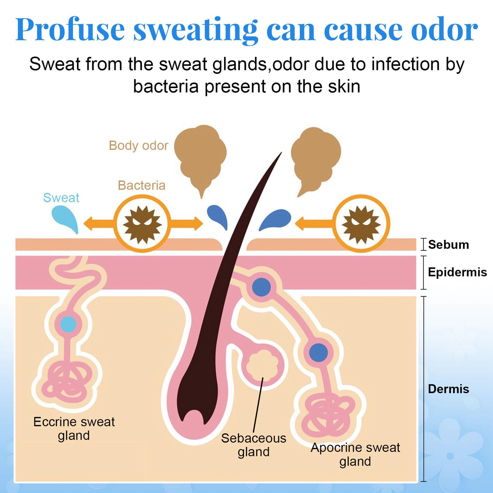 Loción facial absorbente de sudor, antitranspirante fuerte sudoración para pieles grasas cara, pecho, axilas y espalda, loción antitranspirante para bloquear el sudor en la cara