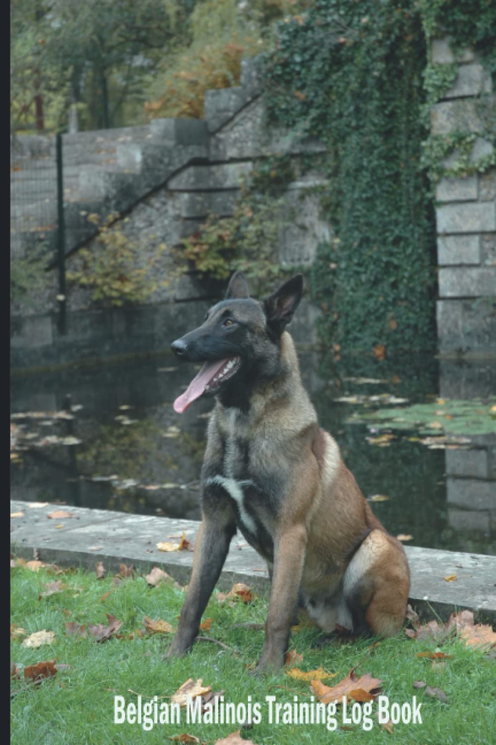 Belgian Malinois Training Log Book: Dog Training Record Keeping Log Book | Well Organized Tracking Handbook To Help Train Your Belgian Malinois & To ... Progress Information Notebook for Pet Owner