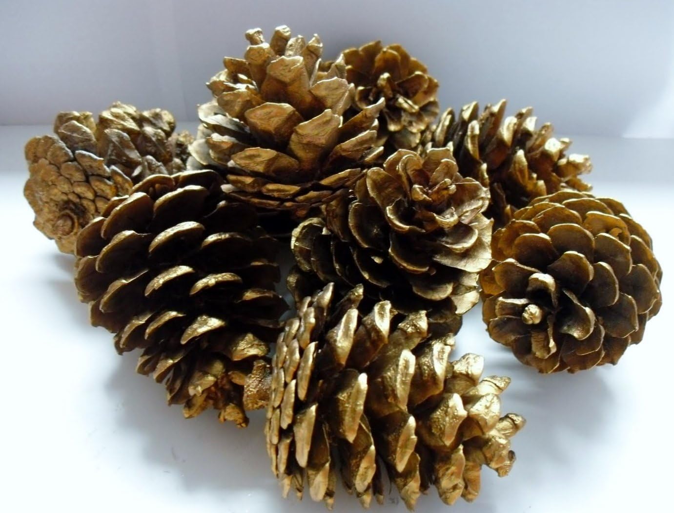 12 Gold Pine Cones Hand Painted All Natural Premium Quality Cones Decorative Home Decor Bowl Displays Crafting Holiday Christmas Decor (2 - 2.5 inches)