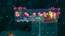 Thumbnail 15