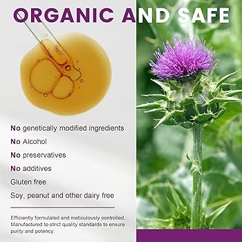 milk thistle benefits () milk thistle benefits