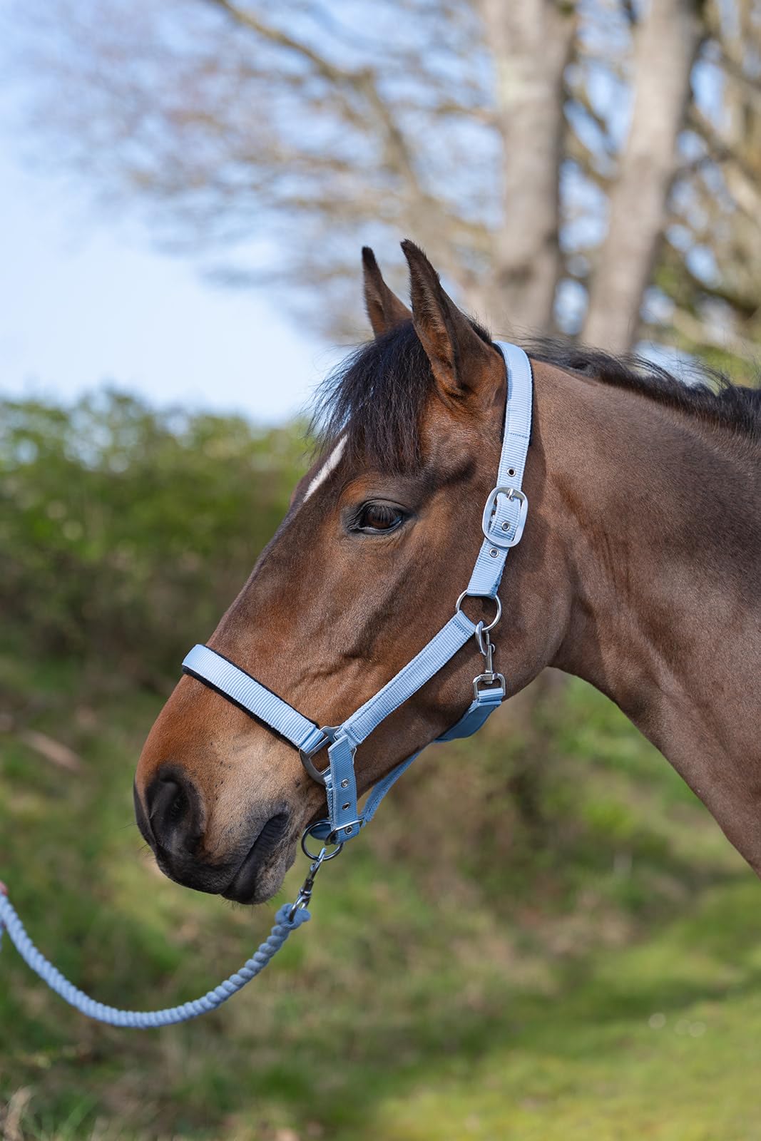 Rhinegold Sorbet Padded Headcollar&Rope-Pony-Bubblegum Blue