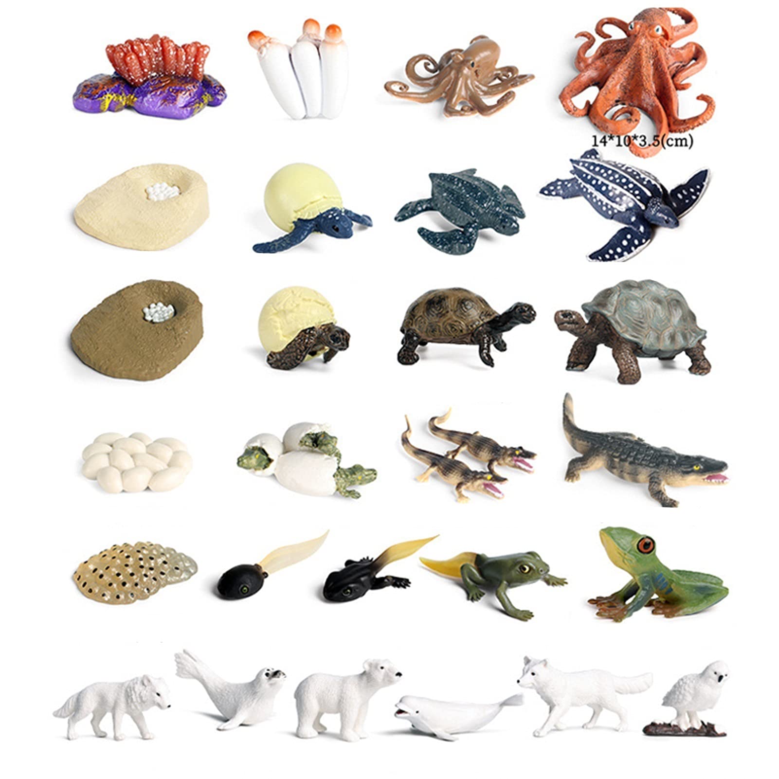 Amazon.co.jp: 12個の野生動物の置物セットジャングル動物は、党の供給 