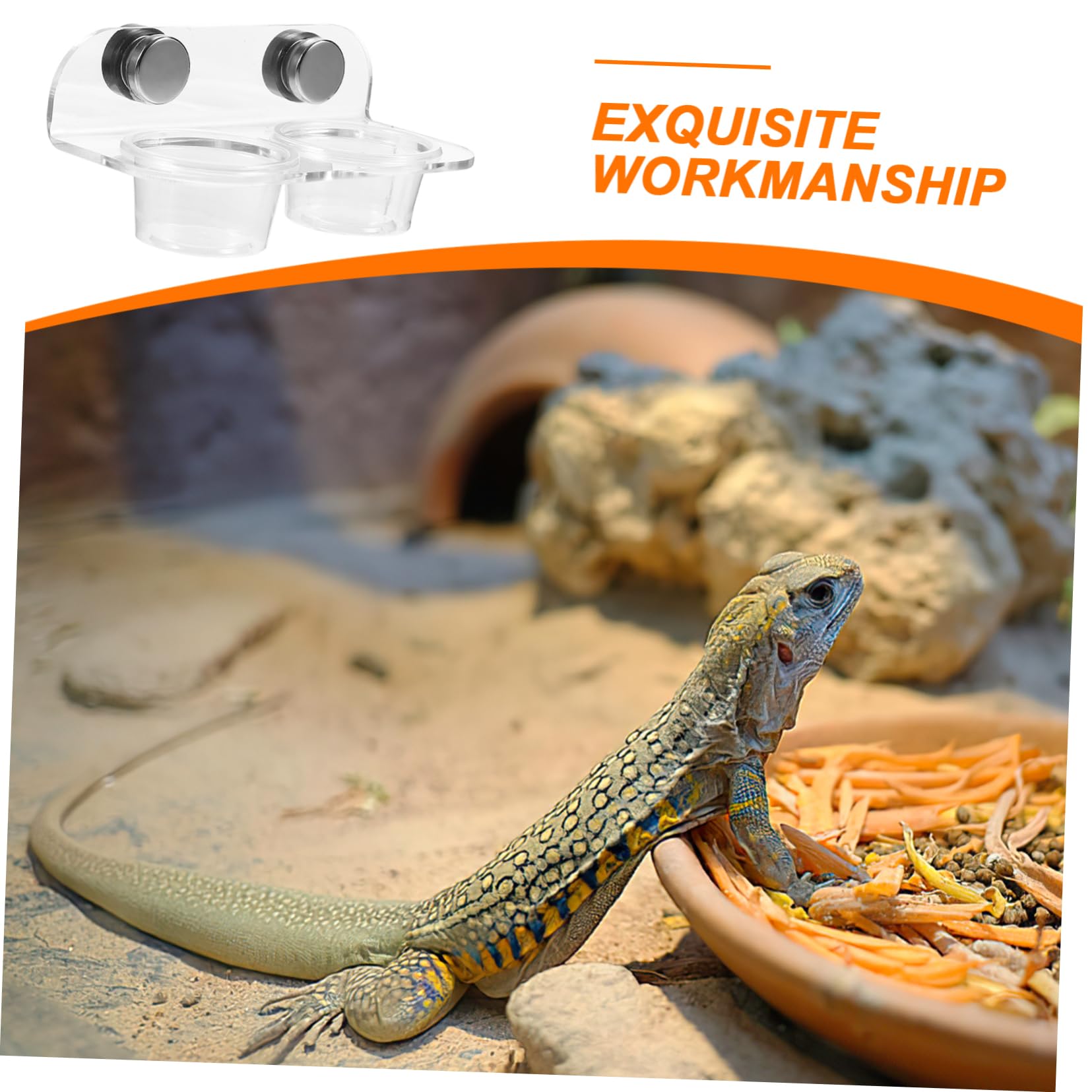 Kisangel 5juegos Cuenco De Alimentación Magnético para Reptiles y Arácnidos Plato De Comedero y Bebedero para Lagartijas y Arañas Diseño Estable y Fácil De Limpiar y Práctico para