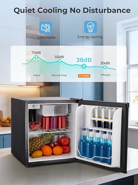 FOHERE Mini Kühlschrank 46L, Kleiner Kühlschrank mit 7-Stufige Kühlung, Energieeffizienter, Superleise, Wechselbarer Türanschlag & Verstellbare Füße, für Hotel, Büro, Kleine Wohnungen,Schwarz - 4