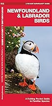 Newfoundland & Labrador Birds (Nature Observation North America)