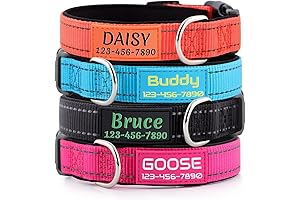 Personalized Dog Collar with Custom Pet Name and Number, Padded Neoprene and Reflective Nylon