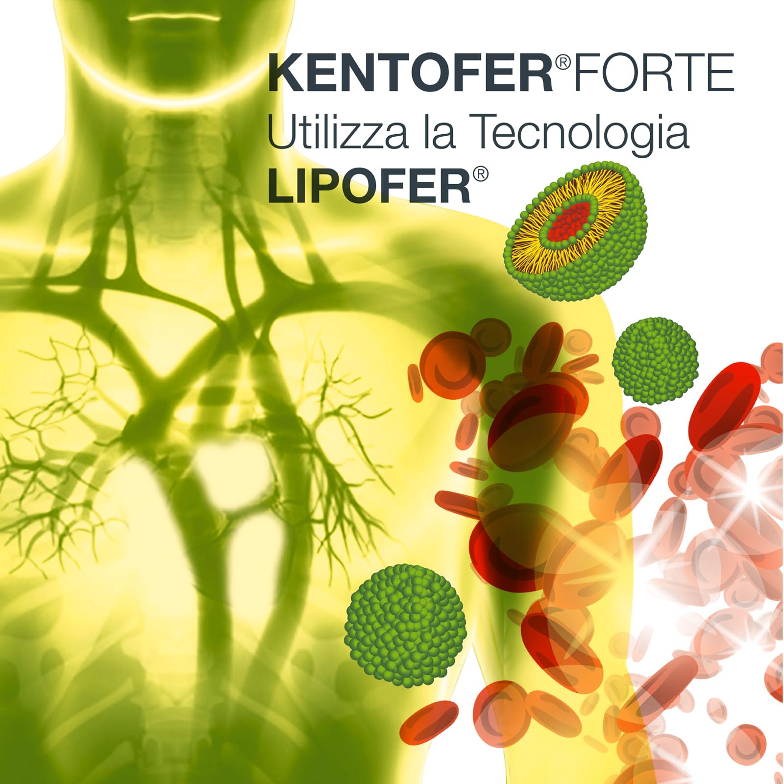 S&R Farmaceutici | KENTOFER Forte - Integratore alimentare a base di Ferro, utile supporto in caso di carenza di Ferro e di Anemia Sideropenica, 20 capsule da 568 mg