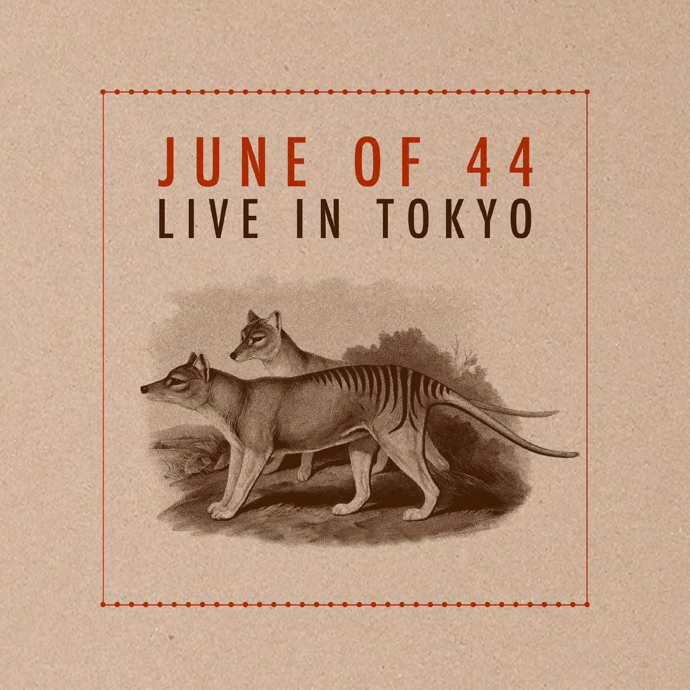 Vinyl Castle Live In Tokyo (Deluxe Edition)