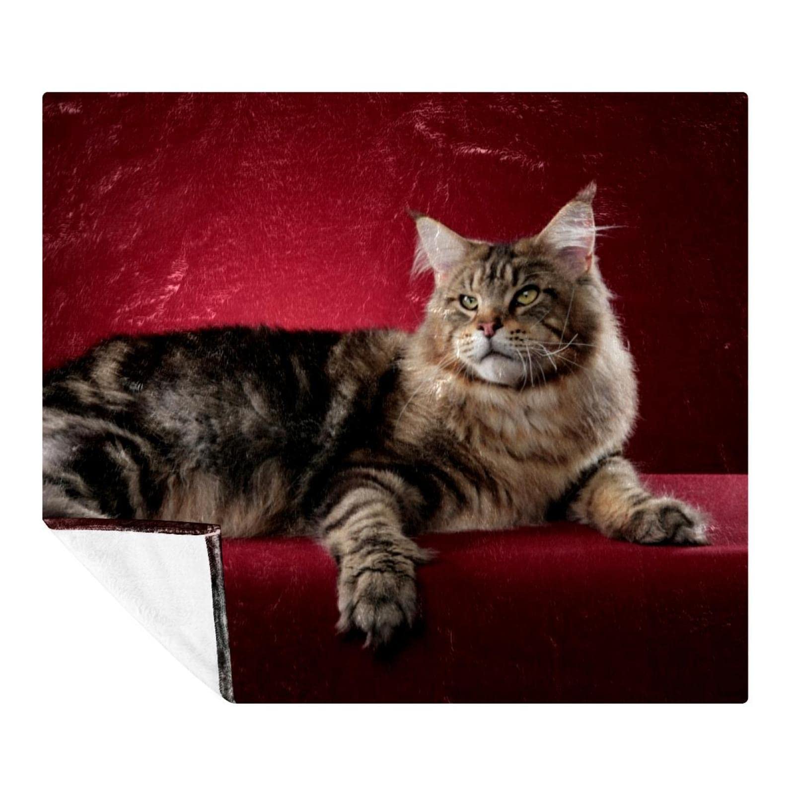 Couverture de sieste Maine Coon pour un réconfort doux et chaleureux