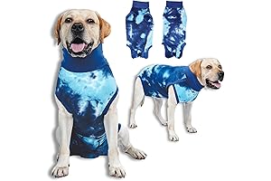 Post Surgery Clothing for Dogs - Breathable Recovery Suit for Male/Female