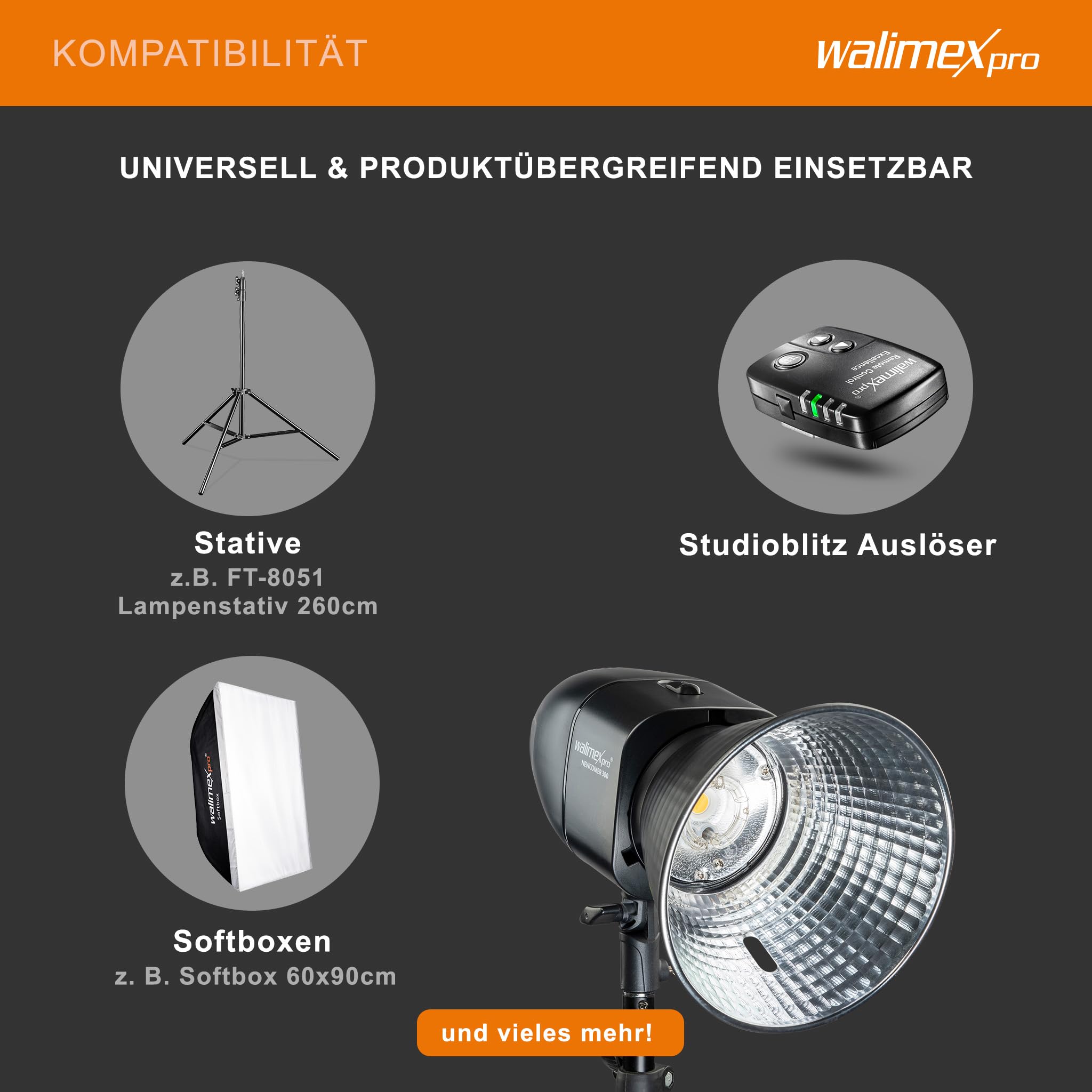 Walimex pro Newcomer 300 II Studioblitz, LED Studiolicht mit Funk, Studiolampe 300 W mit hoher Lichtleistung, Studio Blitz mit Überhitzungsschutz ideal für Fotostudio