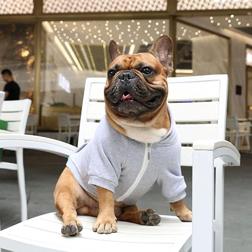 Miniatura 4 de iChoue - Disfraces para perros, suéteres divertidos, abrigos de invierno, sudaderas con capucha, Frenchie Pitbull Corgi, Pug Inglés, cachorro, L