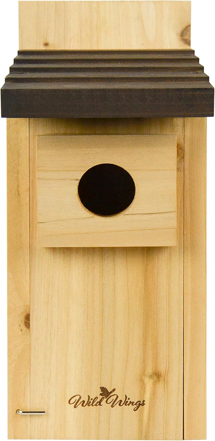 Wild Wings WWCH3 Cedar Blue Bird Box House : Patio, Lawn & Garden