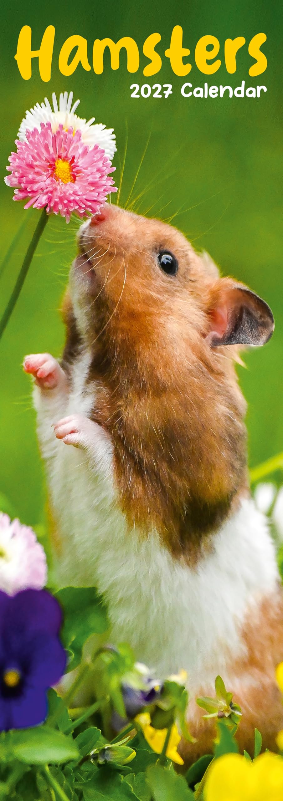 Hamsters Slim 2027 Calendar | Slimline Wall Calendar | Animal Gift | Plastic Free Packaging | by Avonside Publishing