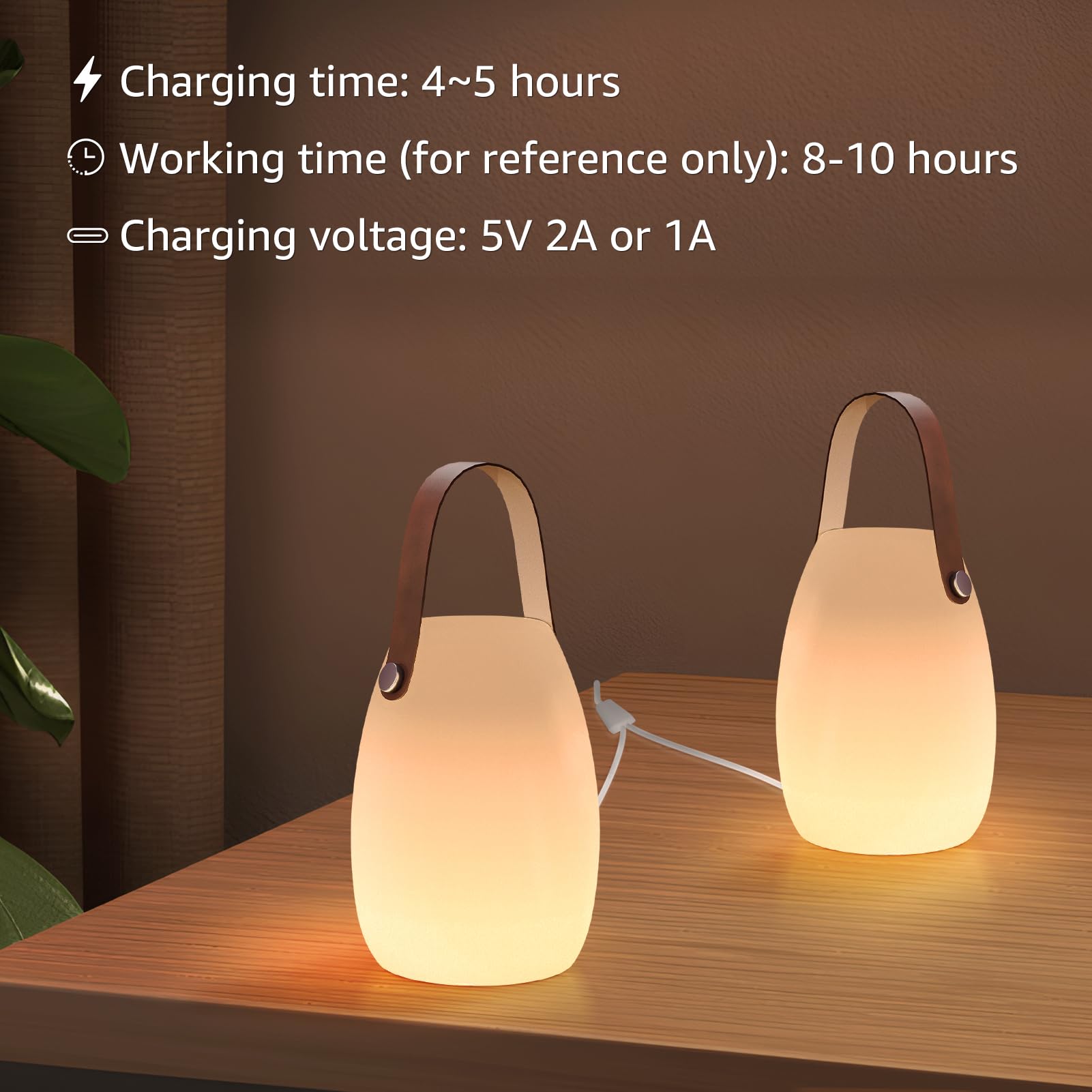 RWWR 2 Stuks LED Tafellamp Kleine Draadloze Tafellamp 8 Kleuren Oplaadbare Buitentafellamp Dimbaar met Afstandsbediening IP44 voor Camping Tuin Balkon Terras