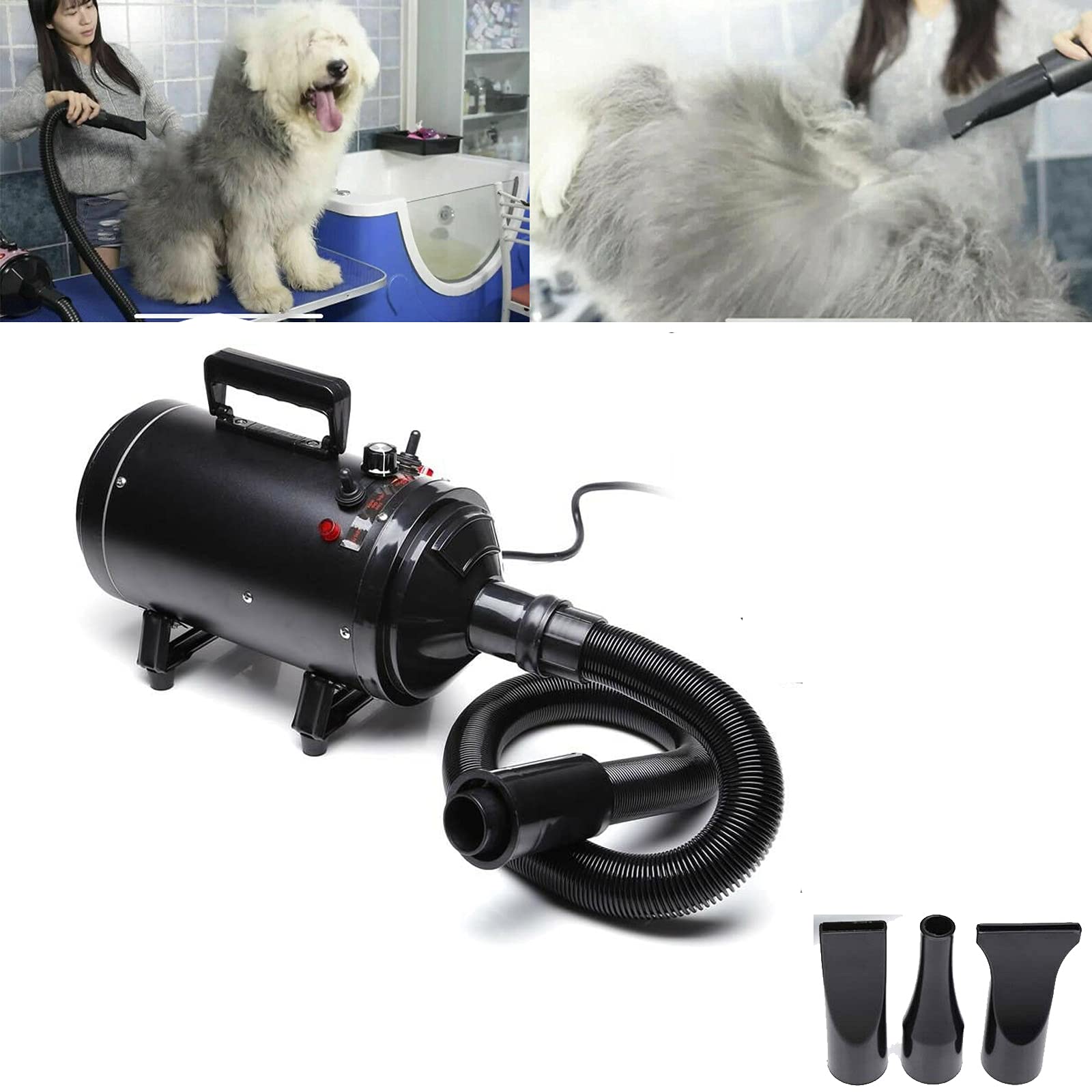 Cane Professionale Essiccatore 2800W, pulsore per cani silenzioso Velocità continua, 2 velocità, 2 temperatura: 35 ° c e 65 ° c, Soffiatore per cane pulsatore silenzioso per cane/gatto e altri, con 4