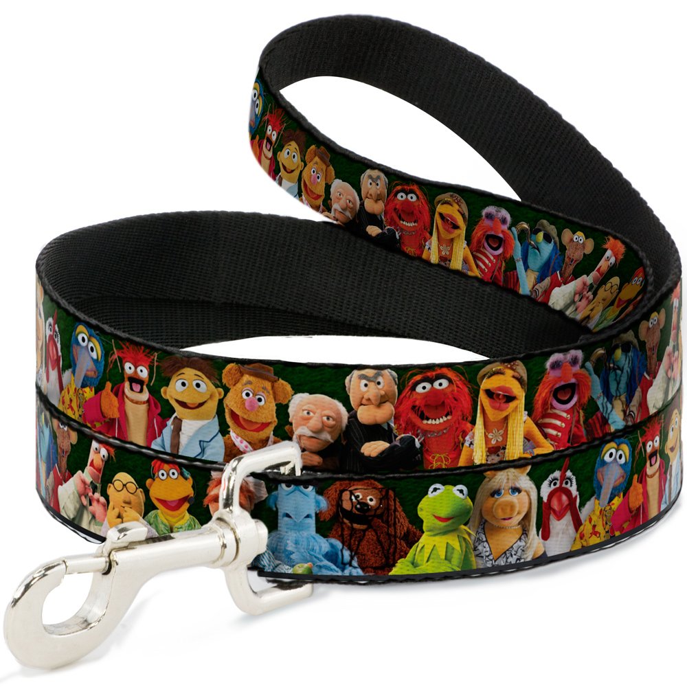 Mascotas para Mascotas Buckle Down DL-6FT-WDY281-W de color verde y 15,2 x 3,8 cm