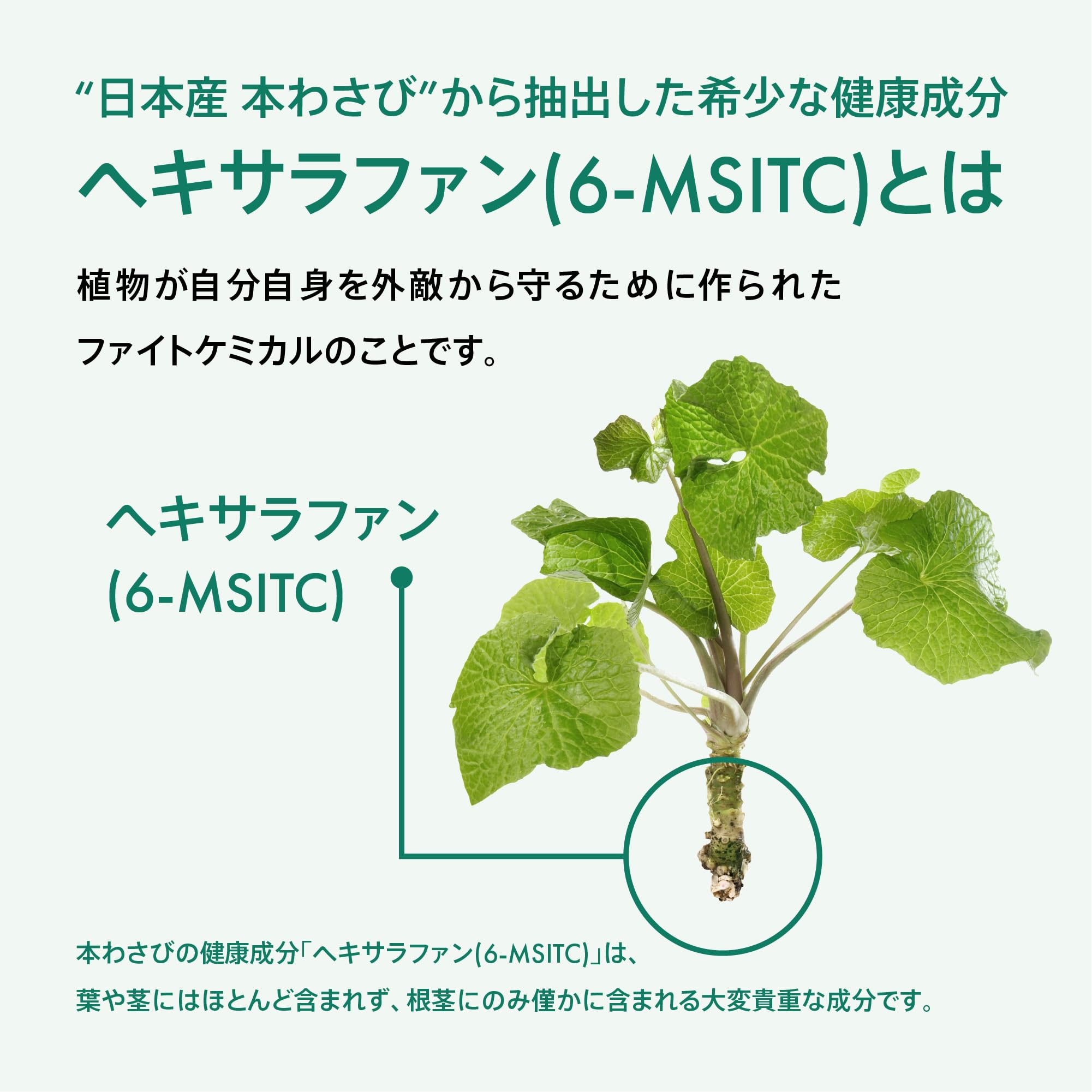 Amazon.co.jp: NOMON わさびサプリメント &WASABI アンドワサビ 30