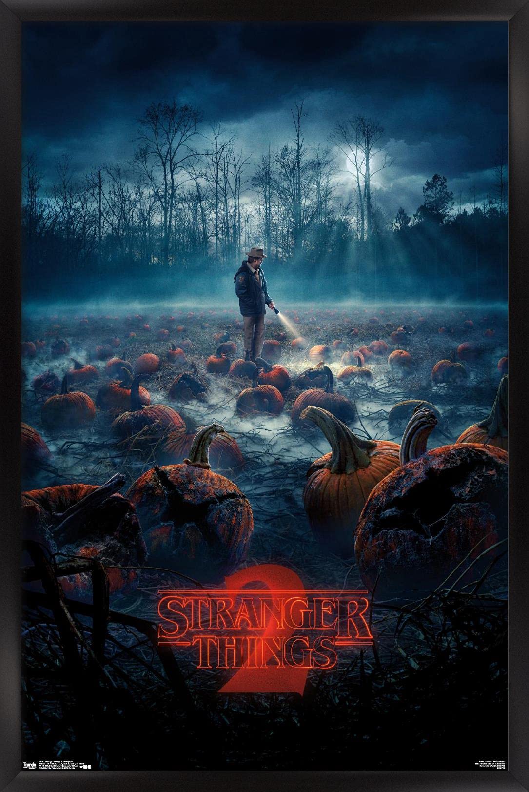 Amazon.com: Trends International Netflix Stranger Things: Season 2