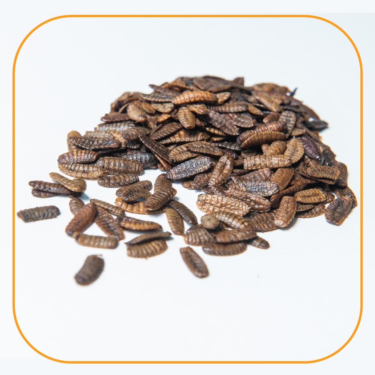 Getrocknete Schwarze Soldatenfliegenlarven 1 kg | Proteinreiches Naturfutter für Hühner, Vögel, Reptilien, Igel & Fische | Ergänzungsfutter für Hunde & Katzen | EU | Ohne Zusatzstoffe