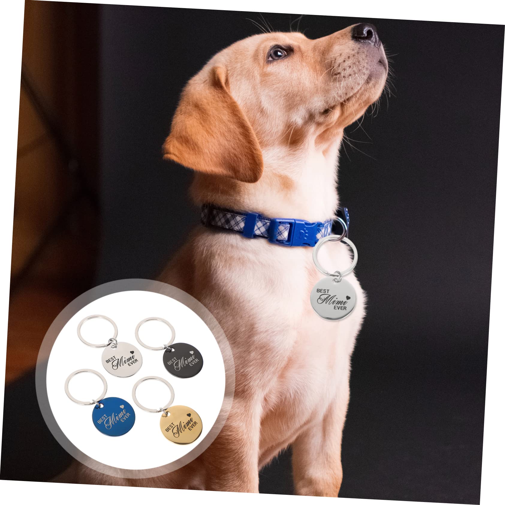 BESPORTBLE 20pièces Médaillons Ronds Acier Inoxydable pour Animaux Étiquettes Identification Personnalisées pour Chats Et Chiens Pendentifs Légers Et Élégants