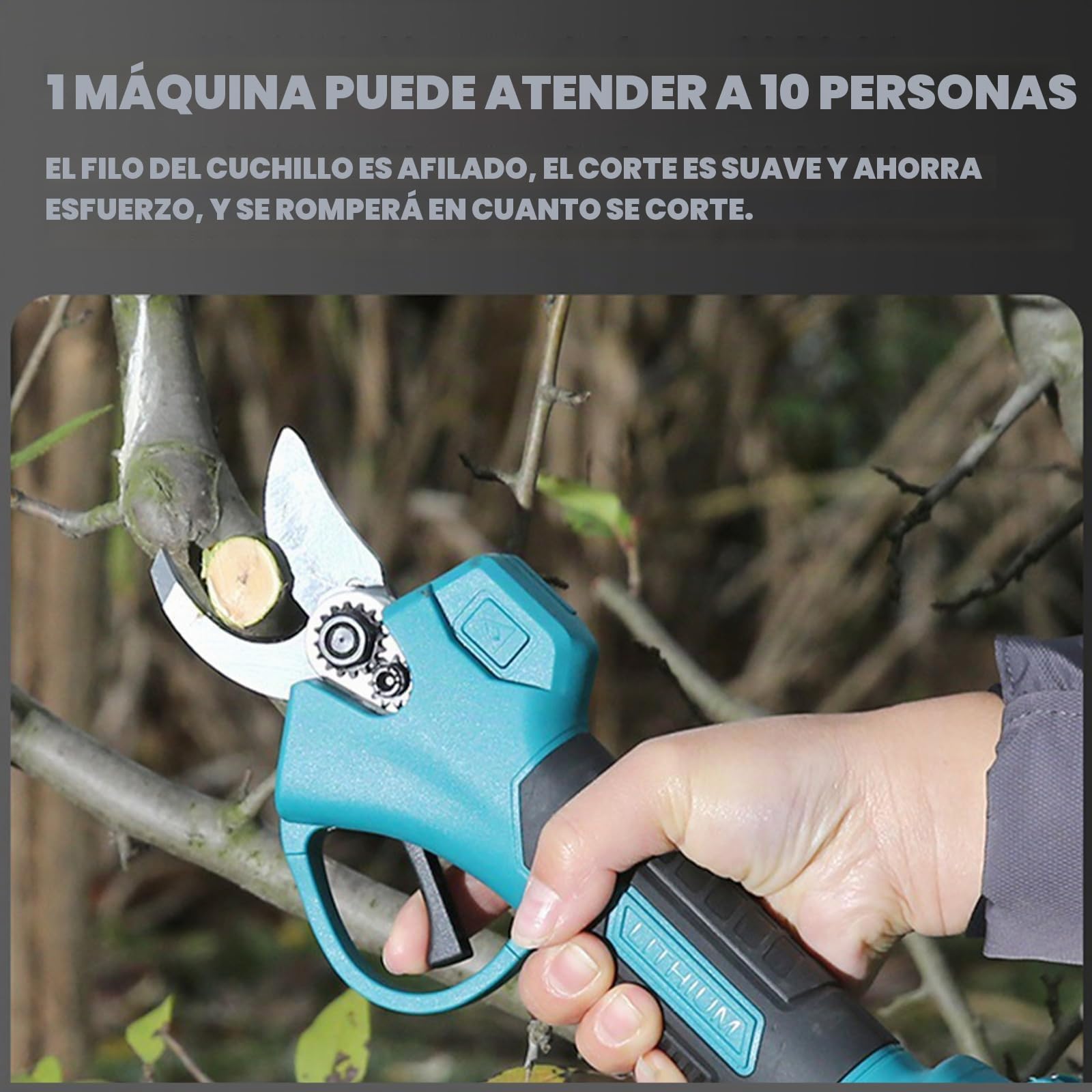 Sierra de Pértiga Inalámbrica 3 en 1, Sierra de Rama Alta con Motosierra Sin Escobillas, Tijera Podadora, Varilla Telescópica de 2M, Batería y Cargador Incluidos Para Poda de Árboles de Jardín