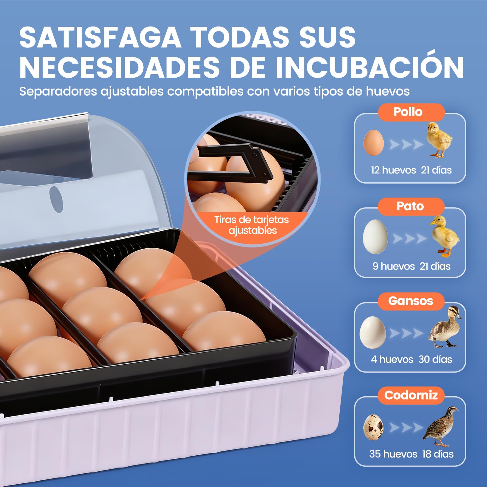 Incubadora de Huevos Automática, Criadora de 12 Huevos con Volteo Automático y Control de Humedad, Incubadoras para Incubar Huevos, Pollos, Patos, Gansos, Codornices, Loros