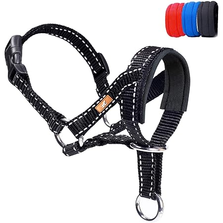 No Pull Dog Collar Buy Canny Collar Best Dog Head Collar For