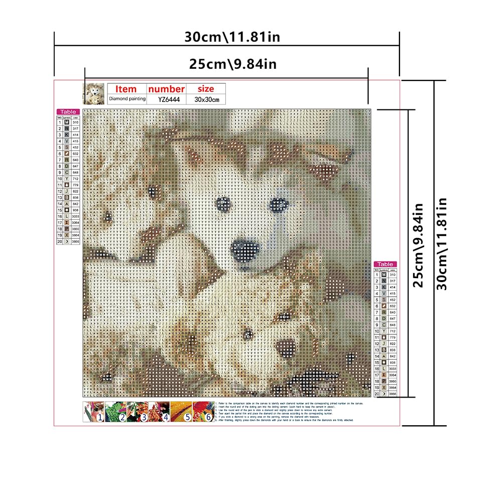 DCIDBEI 30x30CM Rond Diamond Painting Strass Complet Kit,5D Peinture Diamant Chien Perle Diamant à coller Animaux Anime,Diamond Art Adultes Artisanat Décoration Murale Decor |Cocker Brun DCIDBEI 30x30CM Rond Diamond Painting Strass Complet Kit,5D Peinture Diamant Chien Perle Diamant à coller Animaux Anime,Diamond Art Adultes Artisanat Décoration Murale Decor |Cocker Brun