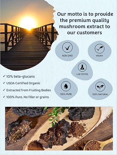 Miniatura 3 de Mushroom Orbit Polvo de extracto de hongos orgánicos Chaga  Extracto de hierbas  100% puro de cuerpo fructífero  4.23 onzas, 60 porciones.