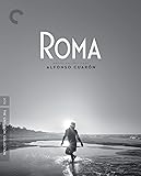 Roma | Director: Alfonso Cuarón | 2018 | Academy Awards for Best Director, Best Cinematography, Best Foreign Language Film | Neflix