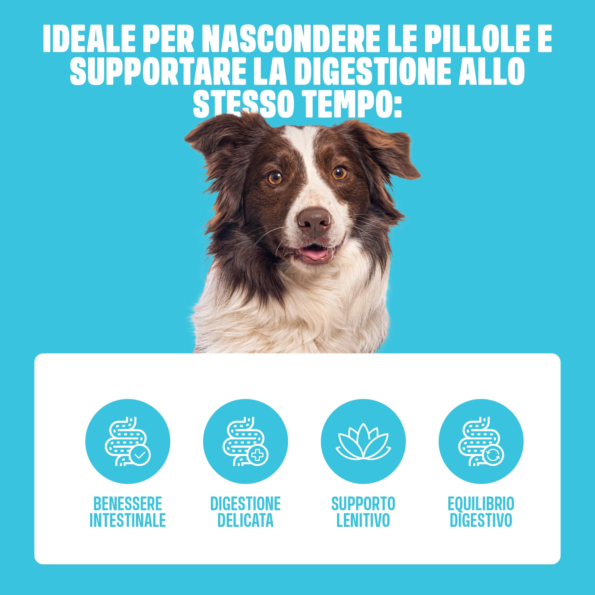 ivvi Pill Pockets per Cani – Snack Morbidi Porta-Pillole con Pollo, Zucca, Radice di Altea e Olmo Rosso – Texture Modellabile per Compresse e Capsule – 270 g / 60 Snack