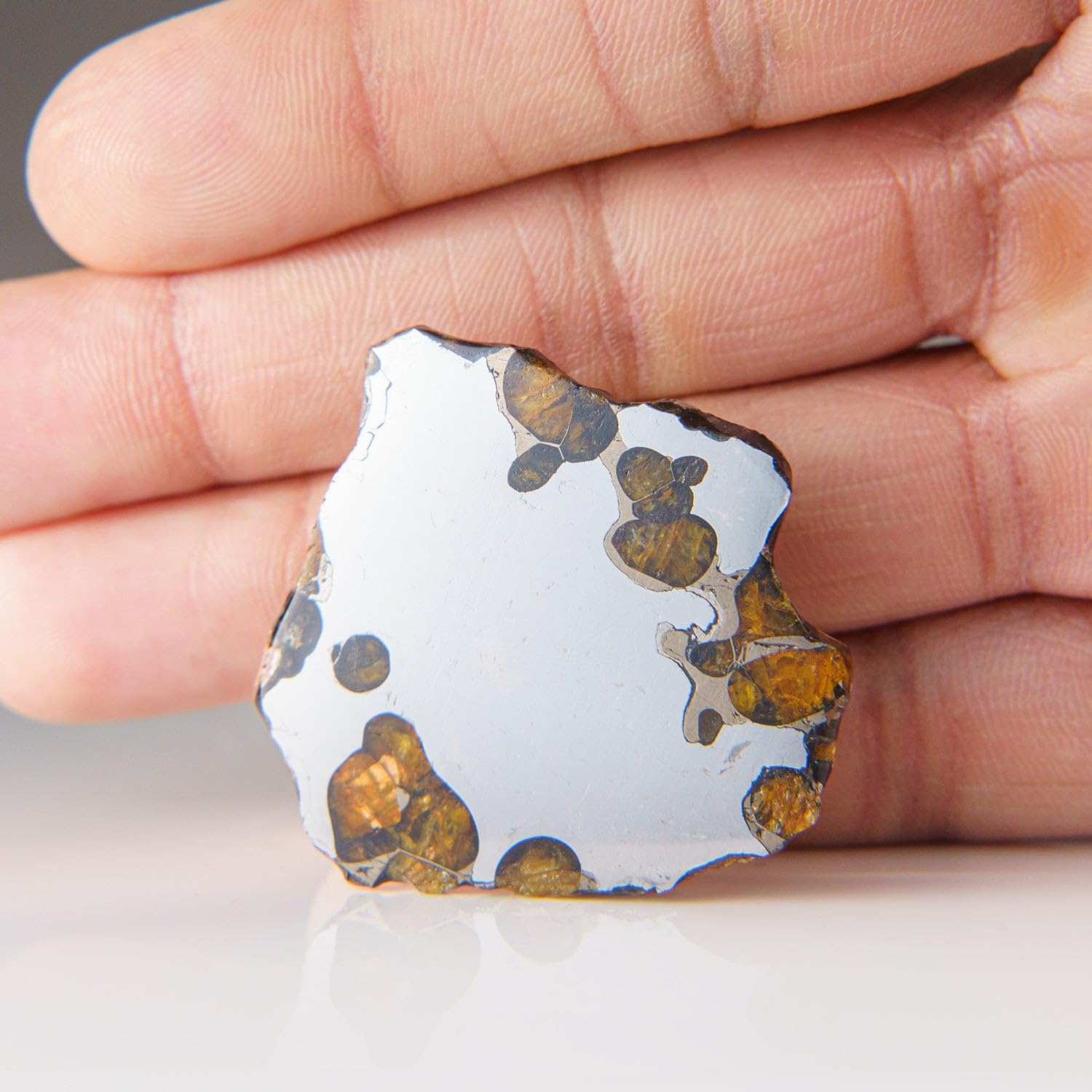ブレナム隕石 (Brenham Pallasite)