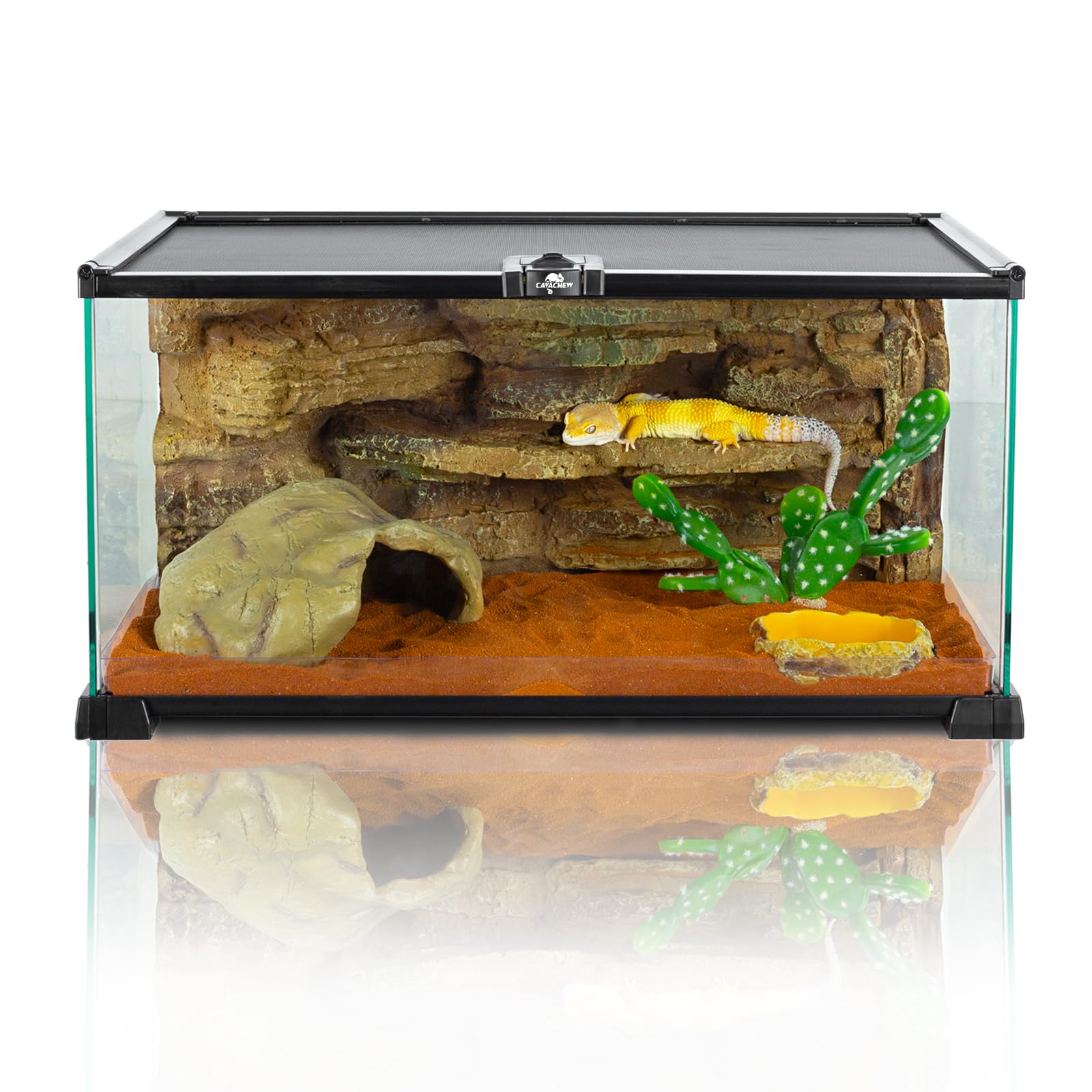 Terrarien für Reptilien & Amphibien, Terrarium 50 x 30 x 20 cm, Terrarium Glas für Schildkröten, Bartagame, Schlange, Gecko, Obere Masche Belüftung, 360°Betrachtung
