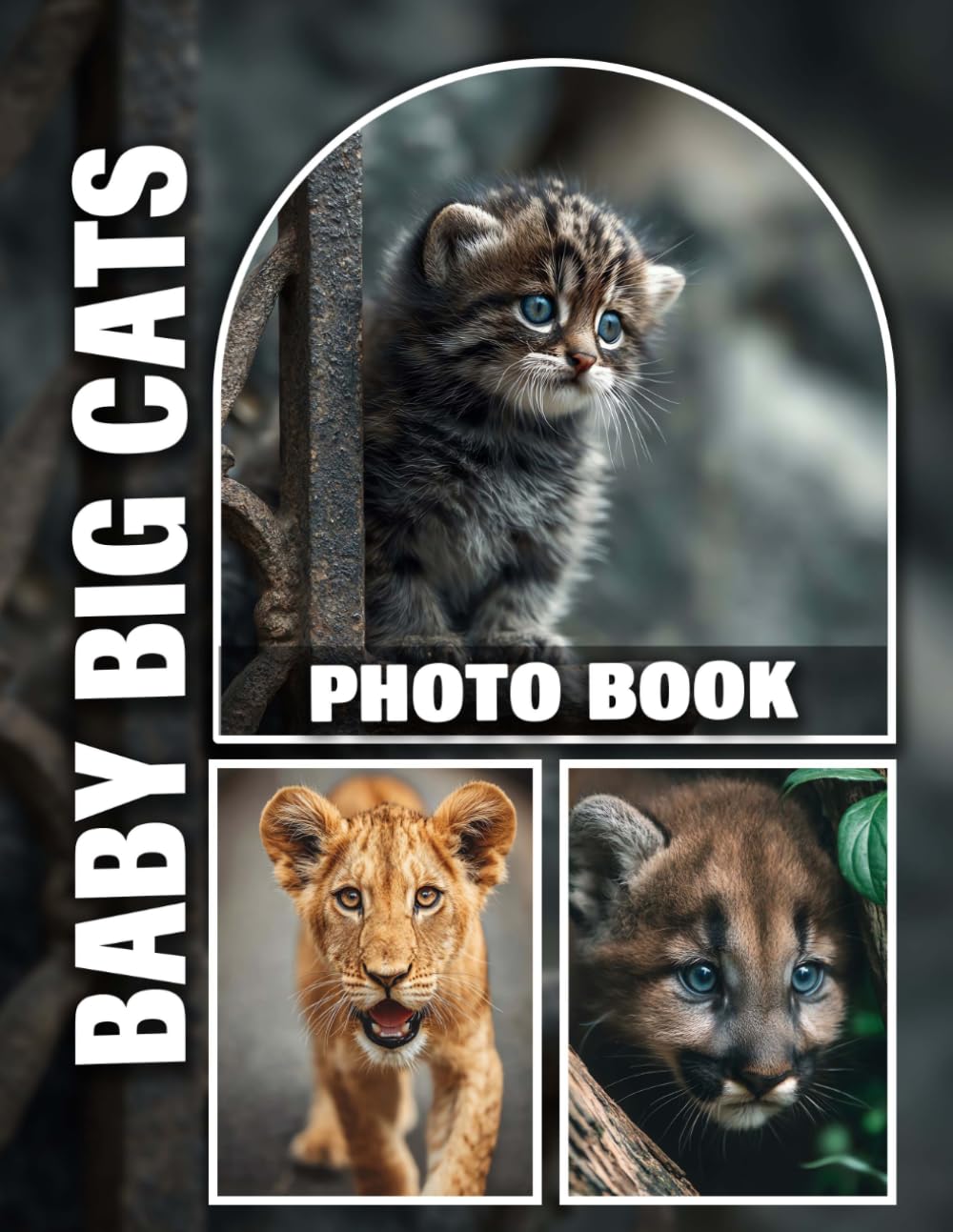 Baby Big Cats Photo Book: Mesmerizing Portraits of Adorable Lion, Tiger, and Cheetah Cubs | High-Resolution Images Showcase the Playful and Curious Nature of Young Big Cats