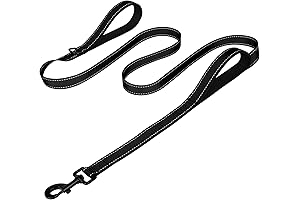Joytale Double Handle Dog Leash for Large Dogs That Pull, 6FT, Black